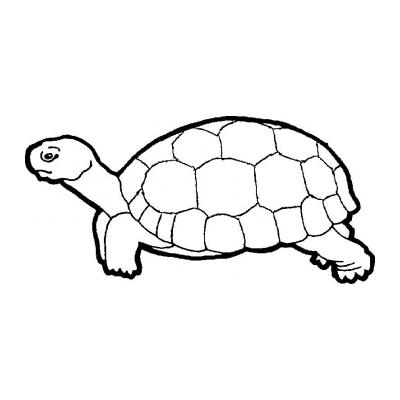  Черепаха - раскраска для детей