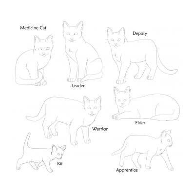  Картинки для раскрашивания Коты Воители