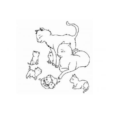  Коты Воители - раскраска для детей