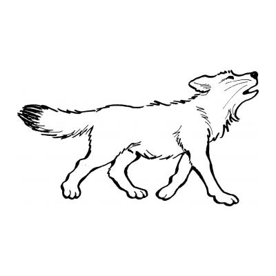  Серый волк