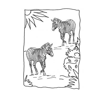  Зебра - травоядное животное