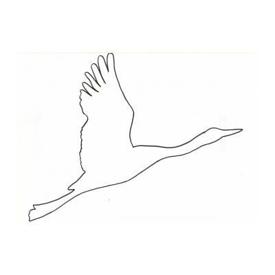 трафарет голубь - символ мира 9 мая