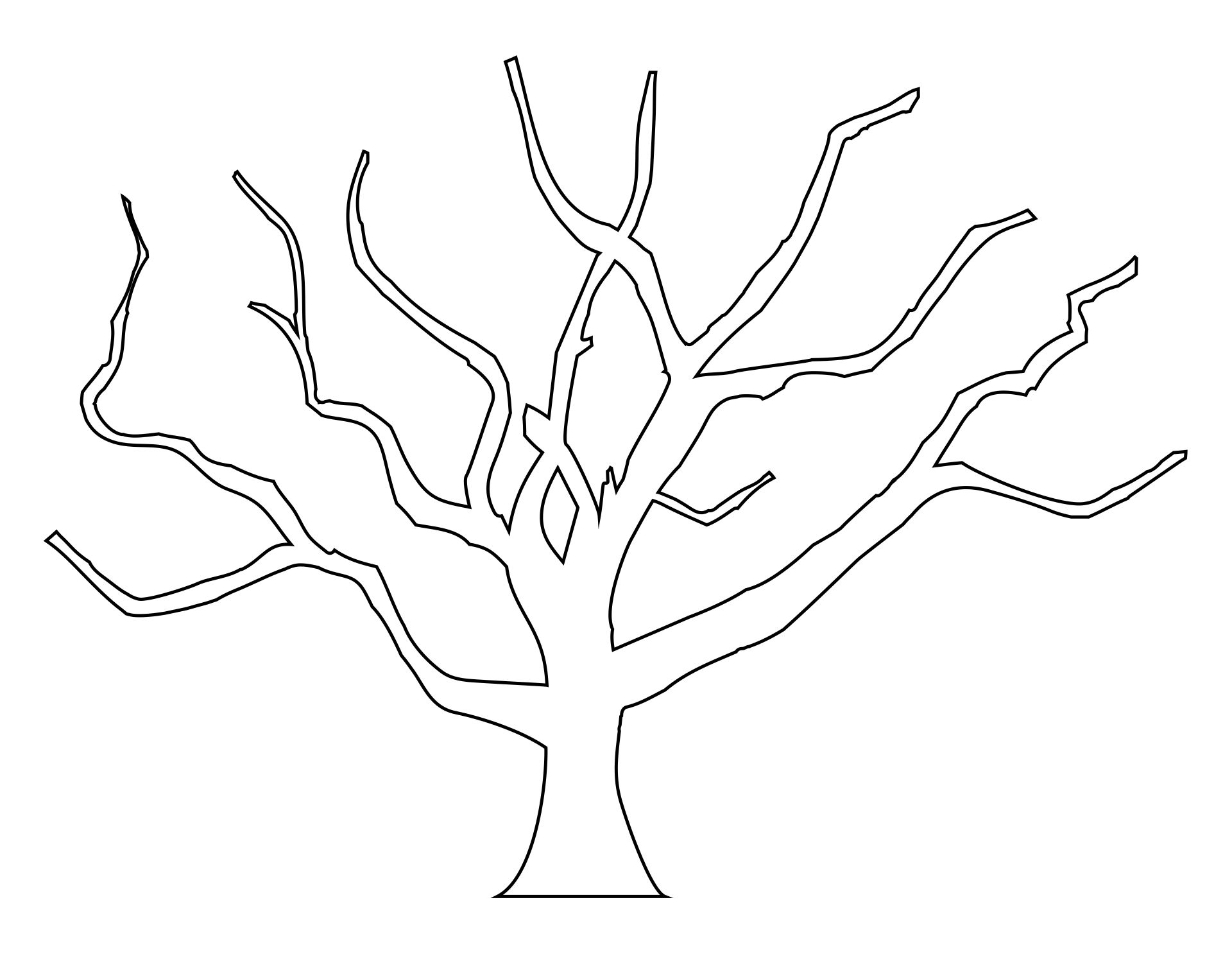 Дерево рисунок без листьев шаблон